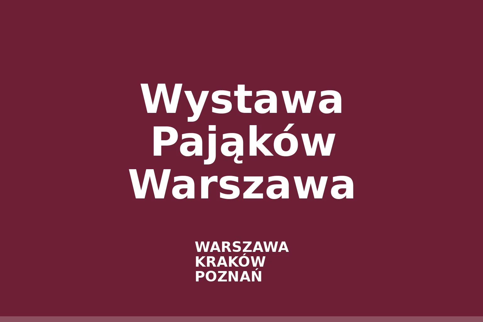 Wystawa Pająków Warszawa